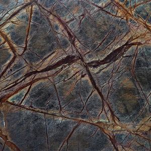 Rain Forest Brown