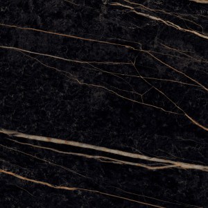 Sahara Noir